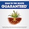 Roundup Weed and Grass Killer Concentrate 2.5 gal 5378701 - alternate 10