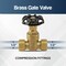 Everflow Compression Cast Brass Gate Valve 1/2" 205P012-NL - alternate 6