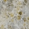 Homeroots 8' X 10' Taupe Ivory And Tan Floral Washable Indoor Outdoor Area Rug 583151 - alternate 9