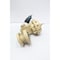 Cashco RANGER QCT PNEUMATIC FLANGED STEEL CONTROL VALVE 2IN RSC-B727-40X53878A - alternate 1