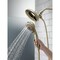 Delta Universal Showering Components In2ition 5-Setting Two-In-One Shower 58569-CZ-PR-PK - alternate 7