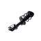 Fcs Struts Suspension Strut And Coil Spring Assembly 1334048L - alternate 5