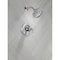 Delta Kayra Monitor 17 Series Shower Trim T17233 - alternate 7