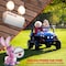 Energizer EN7-6, 6 Volt 7 Amp Hr, Long Lasting Sealed Lead Acid AGM Rechargeable Battery EN4098454 - alternate 6
