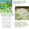 Wrightmaster 8.2 ft. x 10 ft. Insect Screen and Garden Netting Against Bugs, Birds and Squirrels of Mesh Netting ZOR-HONGWANG - alternate 6