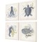 Homeroots Set Of Four Coastal Sea Creatures White Framed Print Wall Art, 4PK 527015 - alternate 6