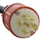 Ac Works Power Distribution Cord, NEMA L21-30P to 4x GFCI NEMA 5-15/20R, 30A, 120/208V, 10 ft L2130PDU-010 - alternate 6