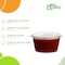 Ecoquality 5 Oz Portion Cups with Hinged Lid Leak Proof Condiment Souffle Containers, 100PK EQHINPC5OZ-100 - alternate 7