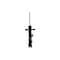 Fcs Struts Suspension Strut 333800L - alternate 1