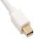 Sanoxy 2 PACK  10ft Mini DisplayPort to Mini DisplayPort Cable 32AWG 4K Resolution Ready SNX-CBL-LDR-DP111-8110 - alternate 1