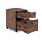 Homeroots 22" Walnut Wood Two Drawers Rolling Filing Cabinet 568324 - alternate 8