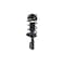 Fcs Struts Suspension Strut And Coil Spring Assembly 1332320 - alternate 5
