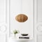 Jonathan Y Kira 18.38" 1-Light Scandinavian Japandi Adjustable Lantern Metal w/Ribbed Cocoon UFO Saucer Shade L JYL4208D - alternate 10
