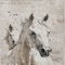 Homeroots 8' X 10' Ivory And Gray Horse Washable Indoor Outdoor Area Rug 618688 - alternate 8