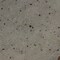 Daltile Daltile Remedy 2-1/4" x 9-1/2" Porcelain Wall Tile in Glossy Zen, PK36 RD23RCT210HDCGL - alternate 7