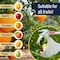 Kings County Tools 10 ft Fruit Picker Pole w/ Basket Telescoping Fruit Grabber Reacher Tool w/ Branch Cutter GW11G12-18 - alternate 10