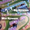 House Fish Balloon Hyrax Game, Paper, cardboard, plastic, metal staples, wood pieces, dice, Green, Red, Blue, 12+ years HFBHX - alternate 6