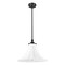 Z-Lite Fleur Matte Black 1 Light Pendant 1958P16-MB - alternate 6