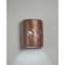 Luxury Lighting Mirage Flats 10 in Ceramic Outdoor Wall Light, Palm Tree Cutouts, Rubbed Copper Paint Finish, 2PK (2) 101-22B-ACop-ud-7-17 - alternate 1