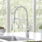 Blanco Rivana Semi-Pro 1.5 gpm, Stainless 442676 - alternate 8