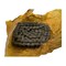 Agco CHAIN KIT, AGCO OEM 105544W91 105544W91 - alternate 5