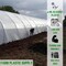 Farm Plastic Supply Panda Film Light Deprivation Greenhouse Cover - 6 mil - 32ft x 50ft - 100% Blackout Tarp Z-6milTBO60003 - alternate 2