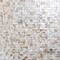 Apollo Tile Concha 11.8 in. x 11.8 in. Polished White, Beige Shell, Mother of Pearl Mosaic Wall Tile, 20PK APLSMA88SQ01A - alternate 1