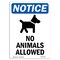 Signmission No Animals Allowed Sign With Symbol, 7 in W x Rectangle, Vinyl Decal OS-2PACK-NS-D-710-V-14375 - alternate 5