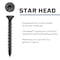 Tapcon 1/4 x 2-3/4 in Black Star Head Concrete Anchors Climaseal Coating, Star Drive, 8PK 28114 - alternate 6