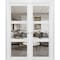 Sartodoors Solid French Double Doors Clear Glass 3 Lites, Lucia 2555 White Silk, Wood Solid Panel Frame Trims LUCIA2555DD-WS-6096 - alternate 1