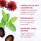 Shea Moisture Masque Strengthen and Restore Jamaican Black Castor Oil Treatment, 2 Ounce, 24PK 68835145 - alternate 8