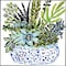 Homeroots Set Of Two Succulent Garden Gold Framed Wall Art, 2PK 649145 - alternate 4