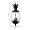Homeroots Clear and Black Three Light Pineapple Outdoor Hanging Pendent Light 398015 - alternate 4