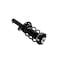 Fcs Struts Suspension Strut And Coil Spring Assembly 7335576 - alternate 5