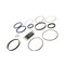 John Deere SEAL KIT, JOHN DEERE OEM 843009800 843009800 - alternate 1