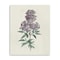 Homeroots Singular Purple Blossom Branch Unframed Print Wall Art 399059 - alternate 1