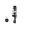 Fcs Struts Suspension Strut And Coil Spring Assembly 1331847R - alternate 5