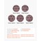 Vevor 5-inch Mesh Abrasive Sanding Discs 50PCS Grit 80 120 80 240 320 Sandpapers, 50PK S125G80320 - alternate 6