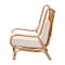 Bali & Pari Helina Bohemian Light Honey Rattan Accent Chair 250-13878-ZORO - alternate 9