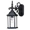 Homeroots Petite Matte Black Domed Hanging Glass Lantern Wall Light 398585 - alternate 1
