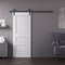 Sartodoors Barn Door 28x84 inches White Solid Core Modern Interior ROYAL9833BD-B-EMAL-2884 - alternate 1