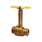 Everflow FIP Ball Valve, Long Bonnet with T-Handle, Brass 3/4" 53342-NL - alternate 1