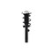 Fcs Struts Suspension Strut And Coil Spring Assembly 1337111R - alternate 1