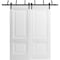 Sartodoors Sliding Closet Barn Bypass Doors 48 x 80in, Lucia 8831 White Silk, Sturdy 6.6ft Rails LUCIA8831BBB-WS-48 - alternate 10