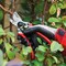 Gemplers Bypass Blade, 1 in Cut Cap, SK-5 Hardened Steel Aluminum Handle, 8.26 in Tool L GBPP01 - alternate 4