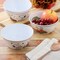 Peanuts Happy Fall 4 Piece 5.8 Inch Round Melamine Cereal Bowl Set in Assorted Designs 750123720M - alternate 5