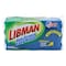 Libman Libman Non-Scratch Easy Rinse Scrub 1552 - alternate 2