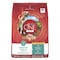 Purina One Tidy Cats ONE +Plus Dog Food, All Sizes Breed, Diced, Dried, Kibble, 16.5 lb Bag 18408 - alternate 1