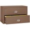 Fireking 2 Drawer, 1 Hr Fire & Impact Rated, 44" Wide Lateral Tan 2-4422-CTN - alternate 4
