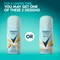 Degree Sexy Intrigue Travel-Size Advanced Protection Antiperspirant Deodorant Dry Spray for Women1oz, 24PK 69998487 - alternate 8
